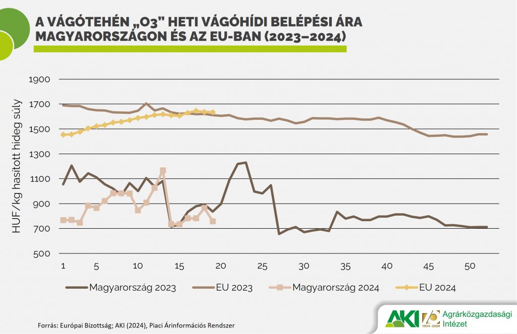 A vágótehén „O3” heti vágóhídi belépési ára Magyarországon és az EU-ban (2023–2024)