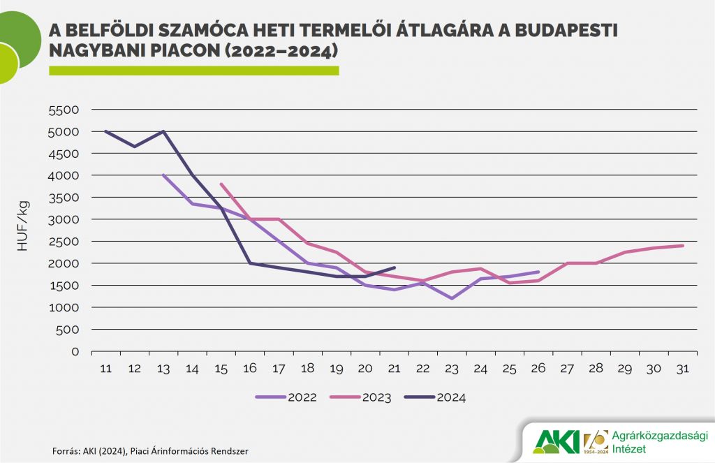 A belföldi szamóca heti termelői átlagára a Budapesti Nagybani Piacon (2022–2024)
