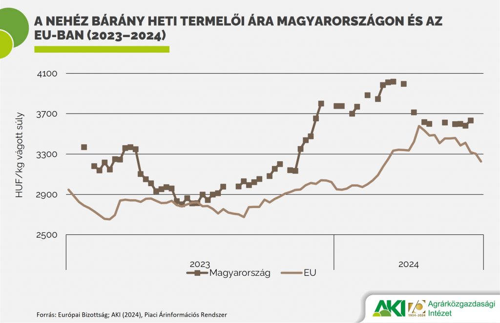 A nehéz bárány heti termelői ára Magyarországon és az EU-ban (2023–2024)