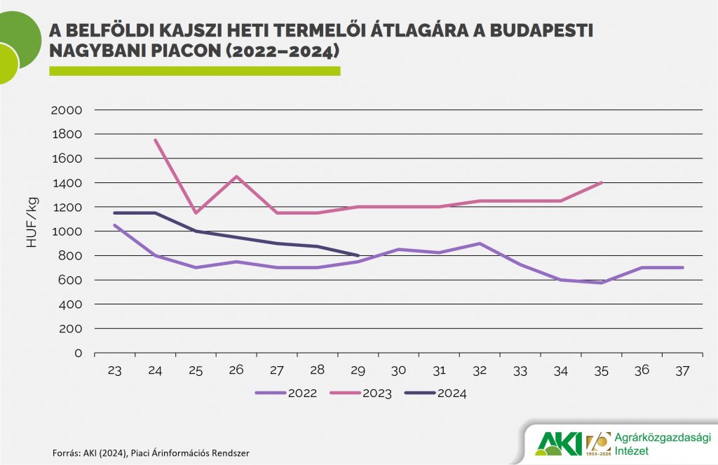 A belföldi kajszi heti termelői átlagára a Budapesti Nagybani Piacon (2022–2024)