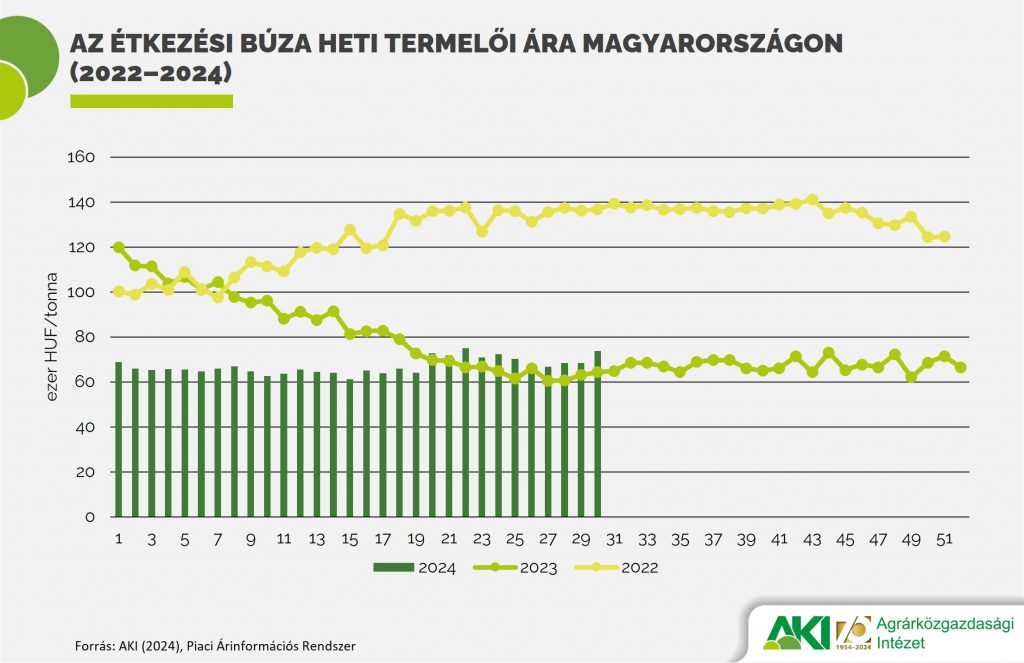 5. ábra: Az étkezési búza heti termelői ára Magyarországon (2022–2024)