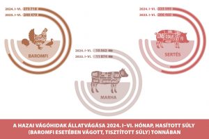 A hazai vágóhidak állatvágása, hasított súly (baromfi esetében vágott, tisztított súly), tonna