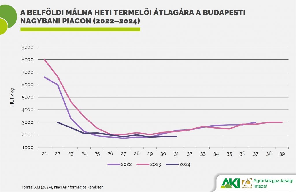 4. ábra: A belföldi málna heti termelői átlagára a Budapesti Nagybani Piacon (2022–2024)