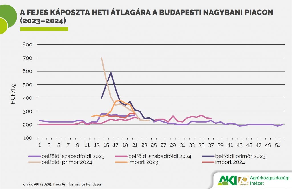 A fejes káposzta heti átlagára a Budapesti Nagybani Piacon (2023–2024)