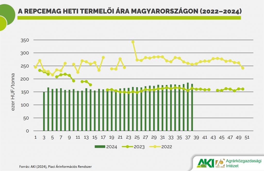 A repcemag heti termelői ára Magyarországon (2022–2024)