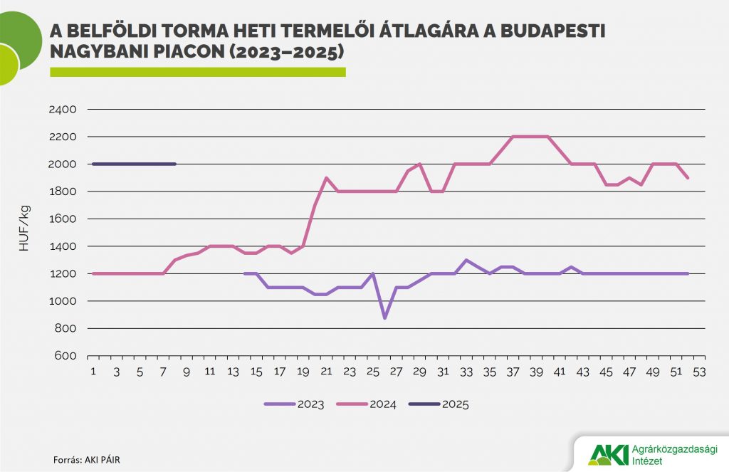 Torma_2025/4