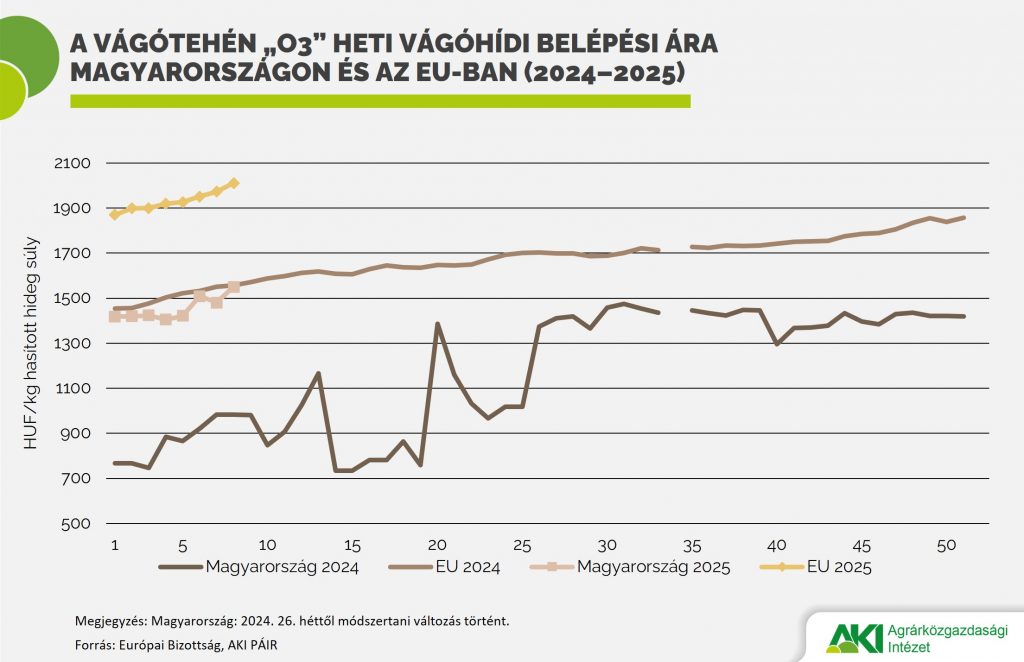 vágótehén_ár_2025/3